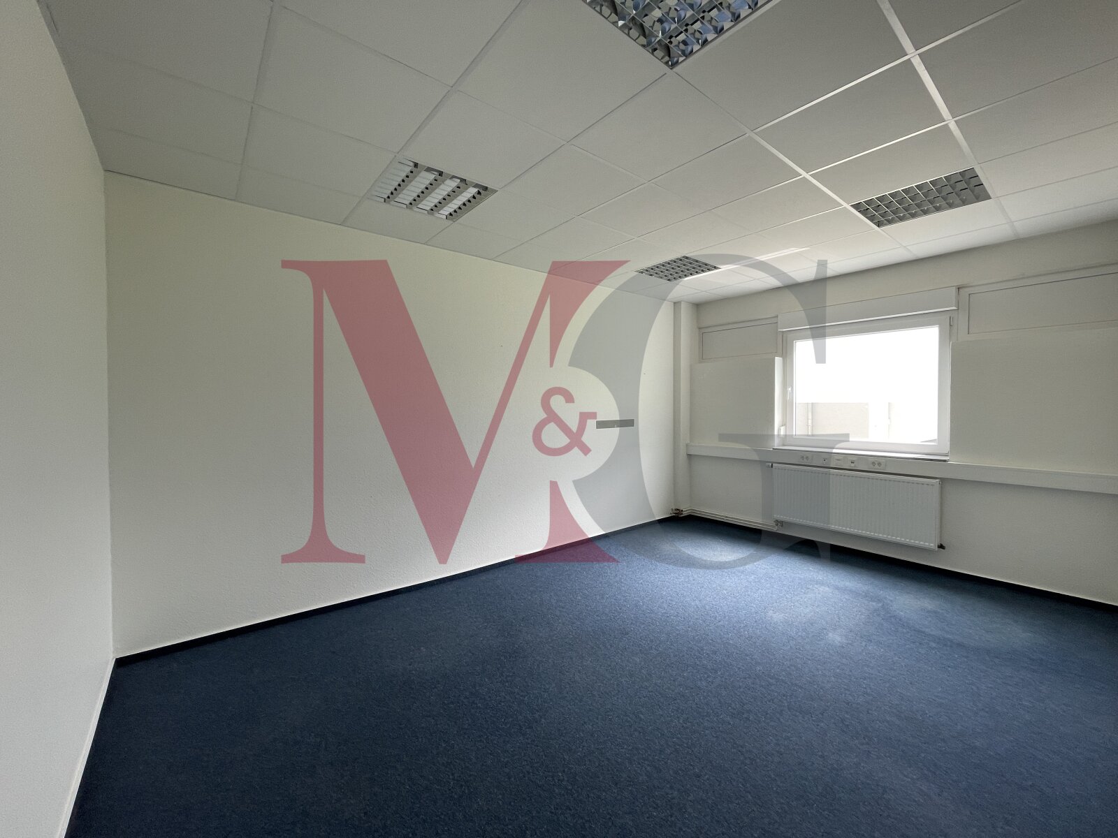 Büroflächen zu vermieten